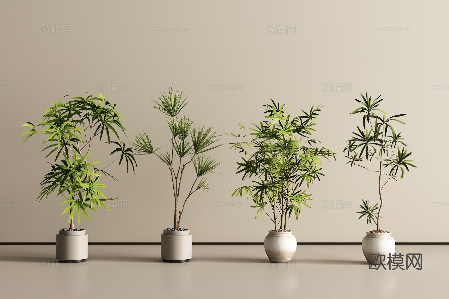 现代盆栽 盆景 绿植3d模型