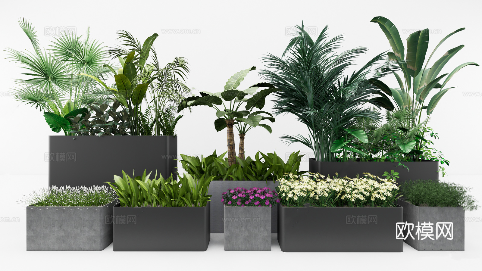 现代植物盆栽绿植花箱su模型