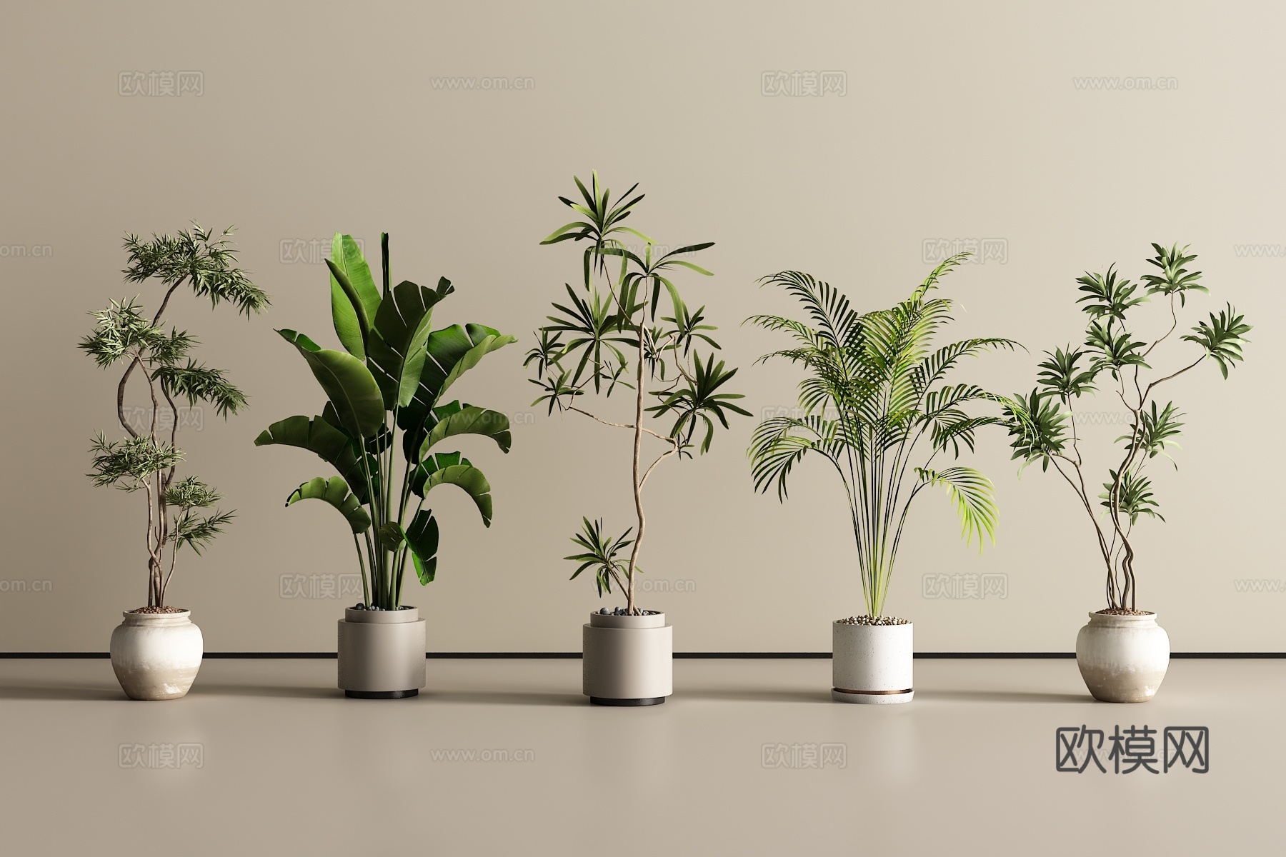 现代盆栽 盆景 绿植3d模型