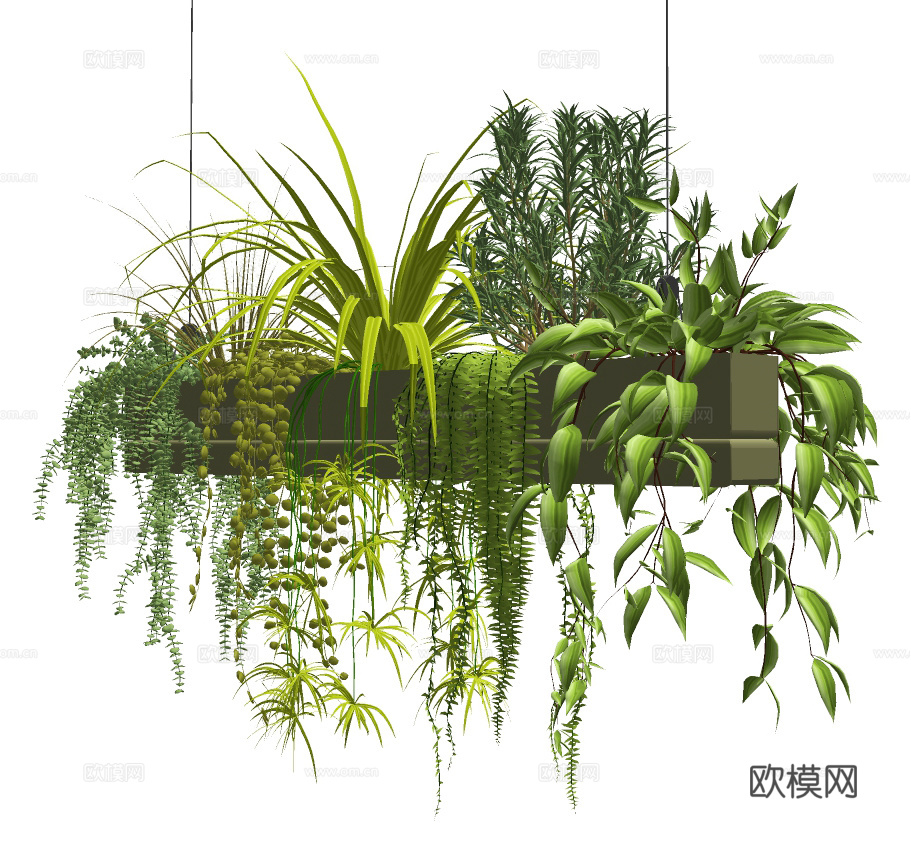 现代绿植吊篮su模型下载