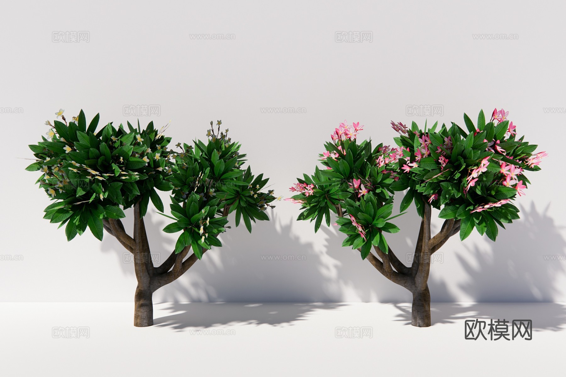 现代植物乔木su模型下载