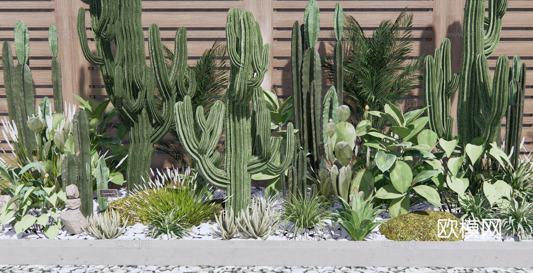 现代植物仙人掌盆栽su模型下载