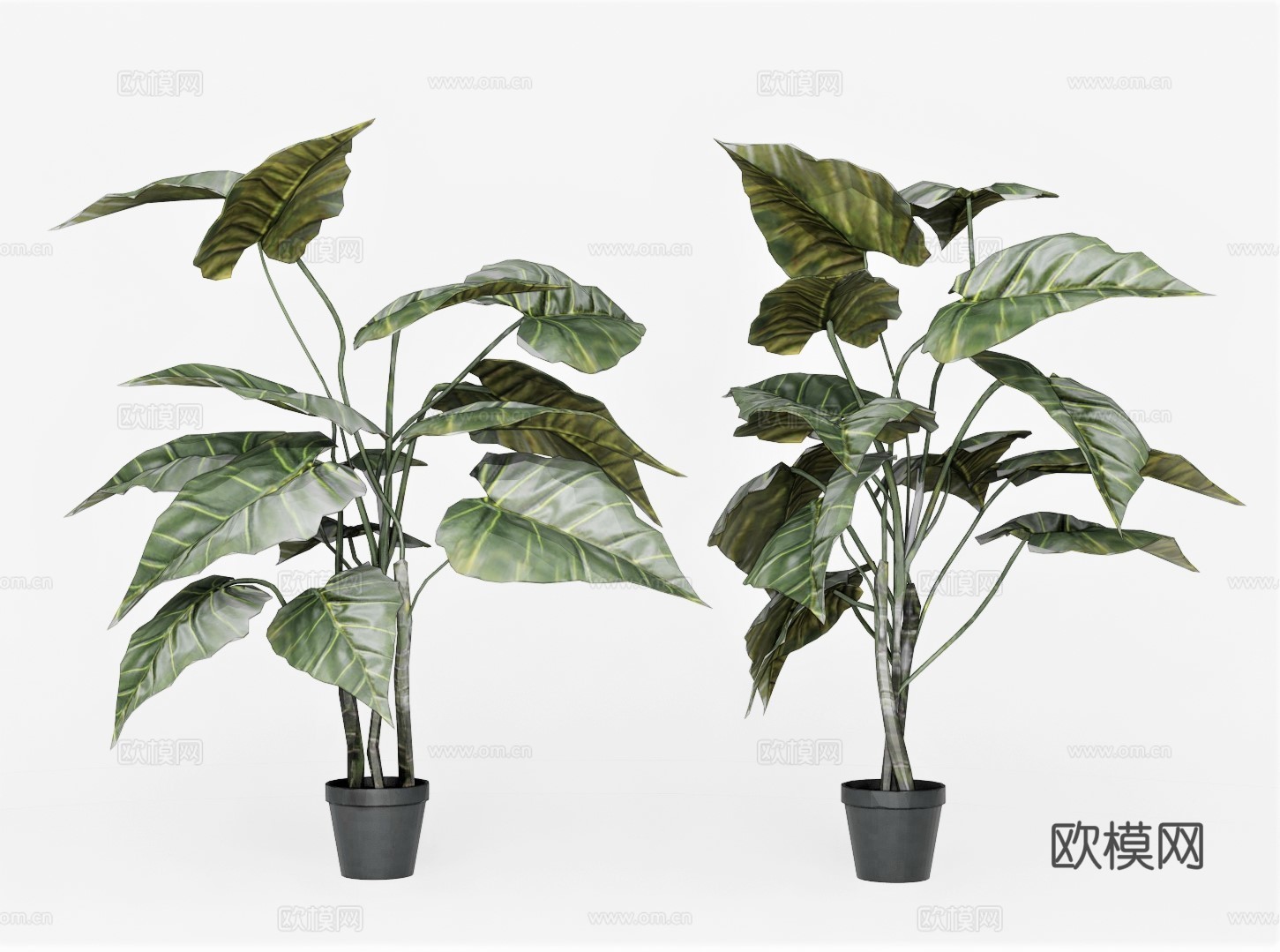 现代绿植盆栽su模型下载