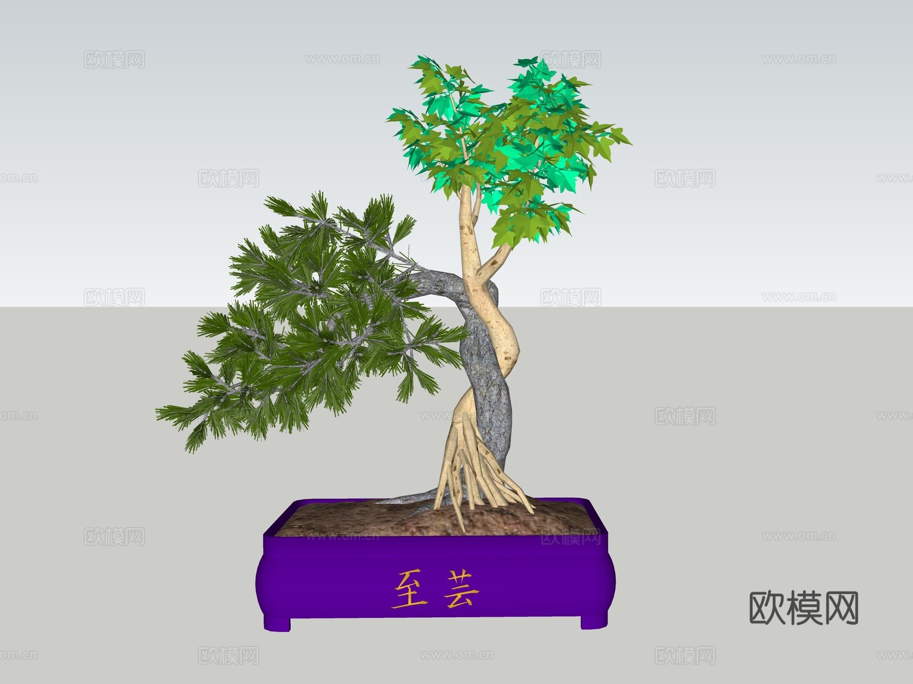 新中式盆景盆栽su模型下载