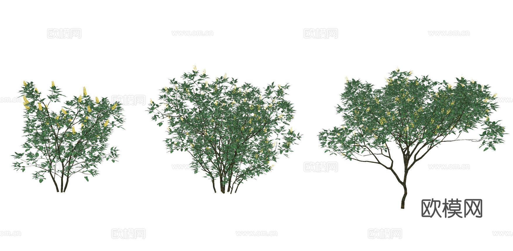 现代植物灌木su模型下载