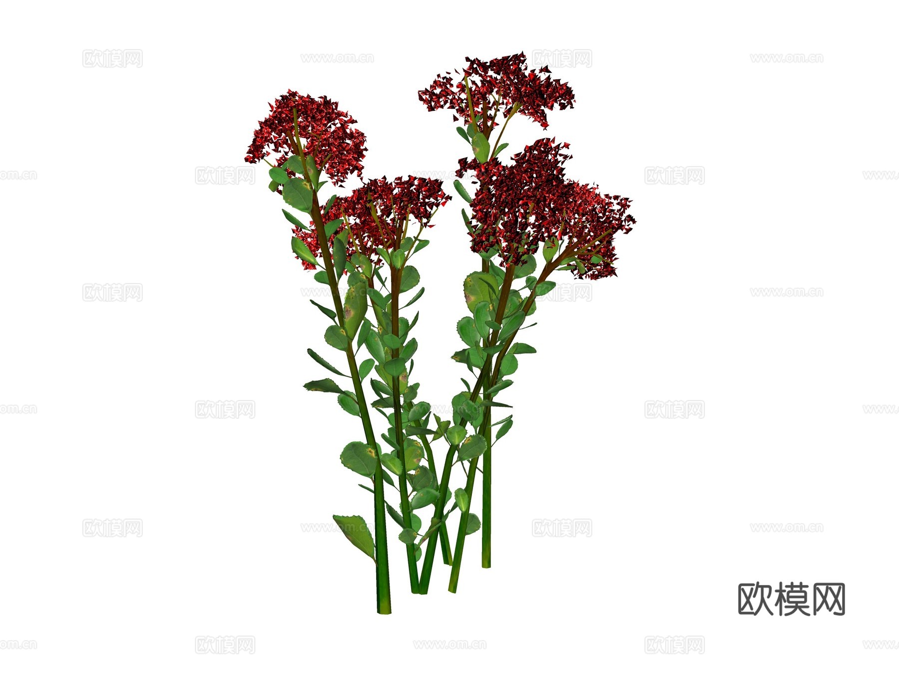 现代鲜花su模型下载