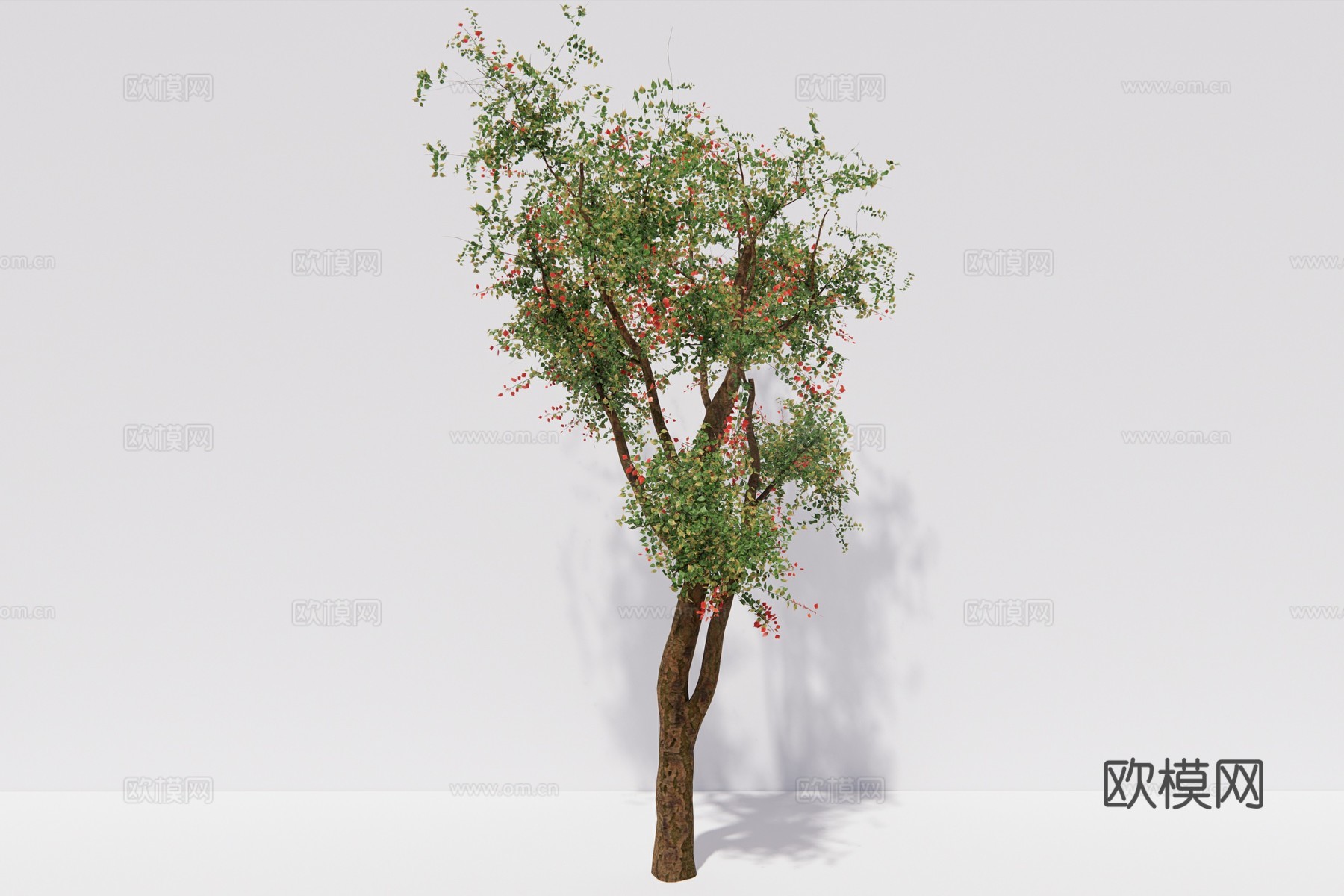 现代植物乔木su模型下载