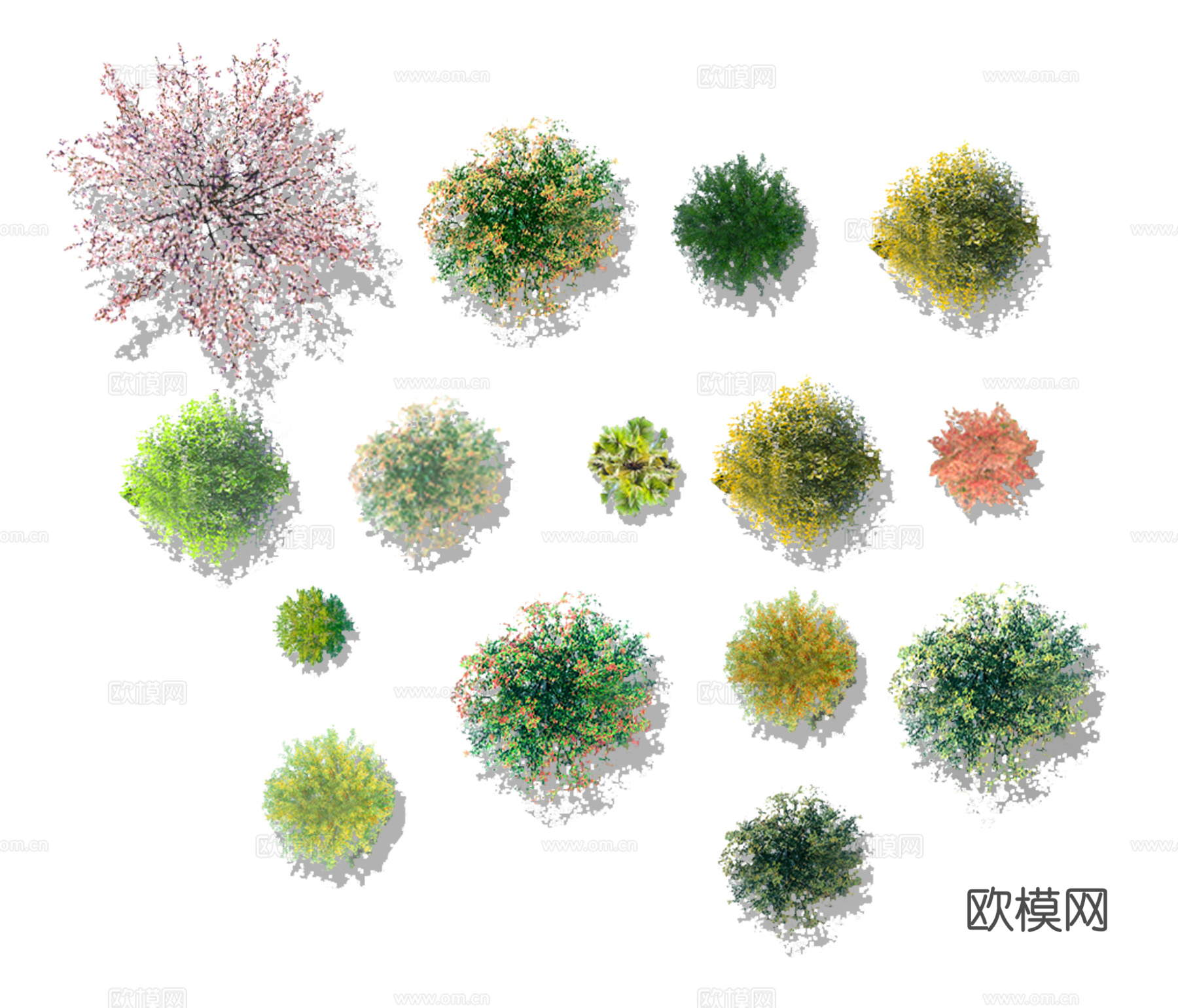 彩平植物免抠图