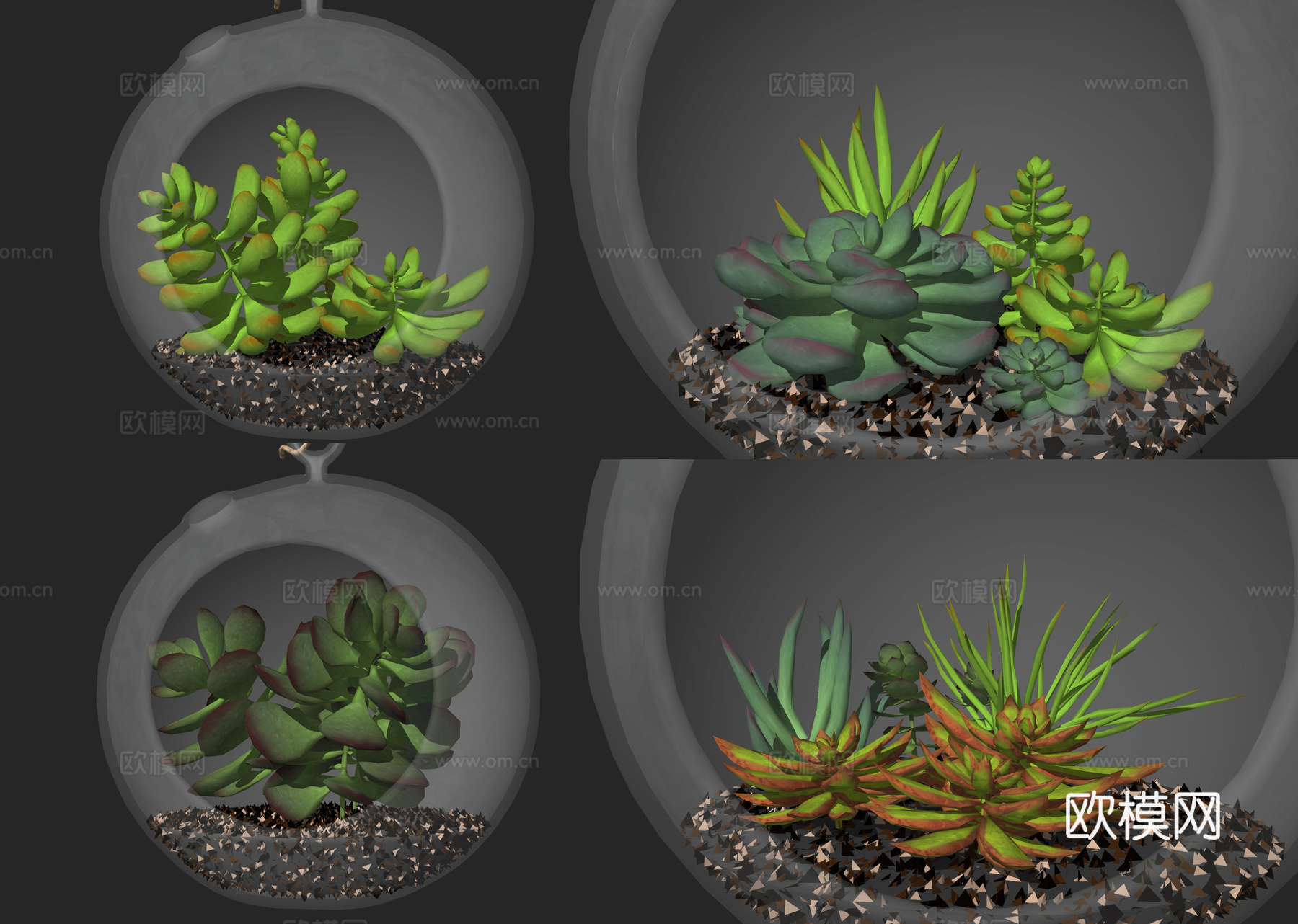 现代悬挂多肉植物盆栽su模型下载