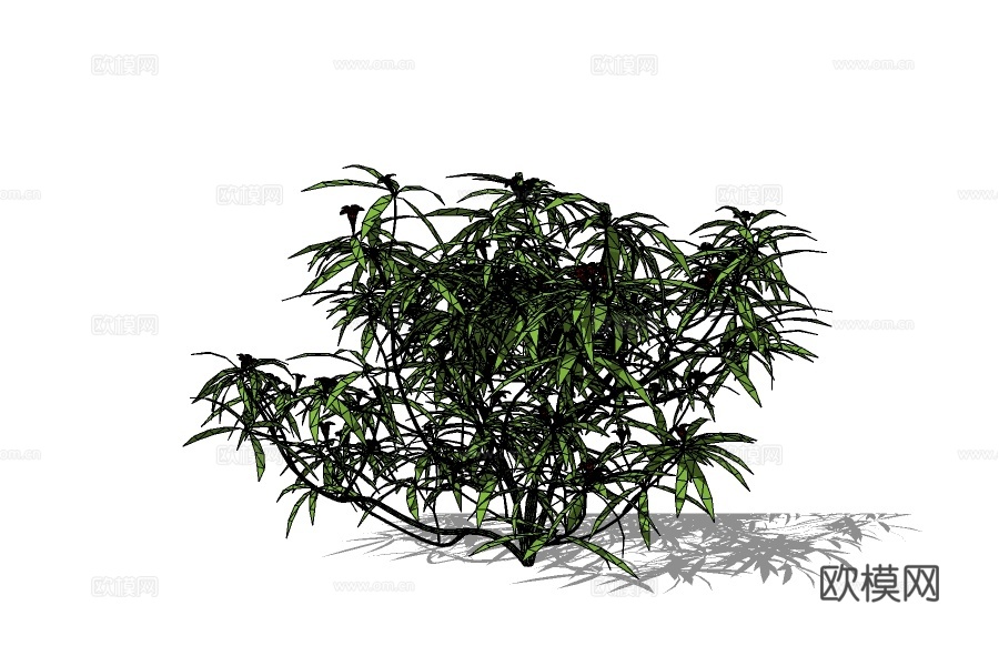 现代绿植灌木su模型下载