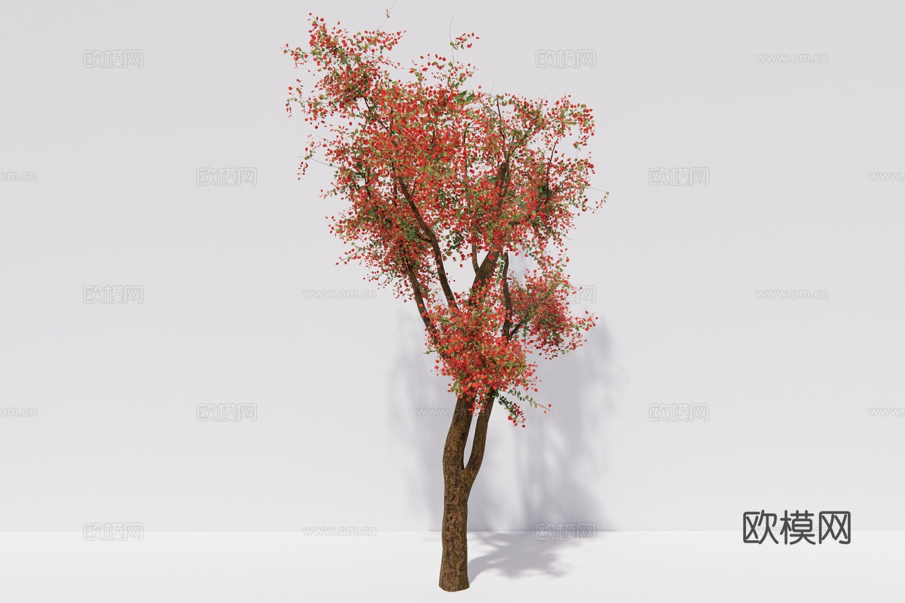 现代植物乔木su模型下载