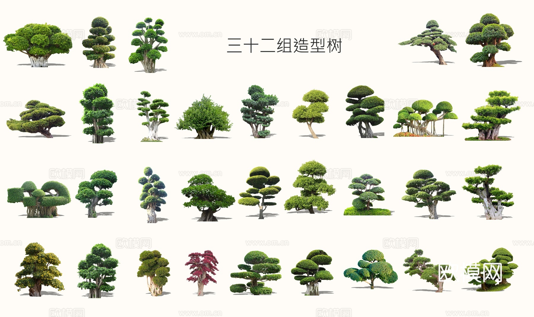 新中式景观树松树su模型下载