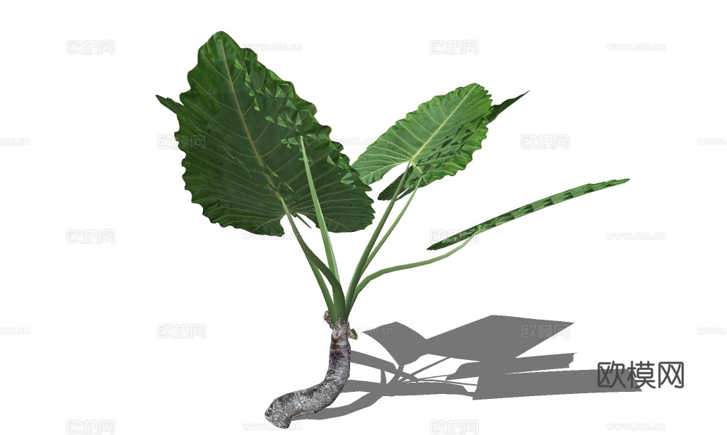 现代绿植灌木su模型下载