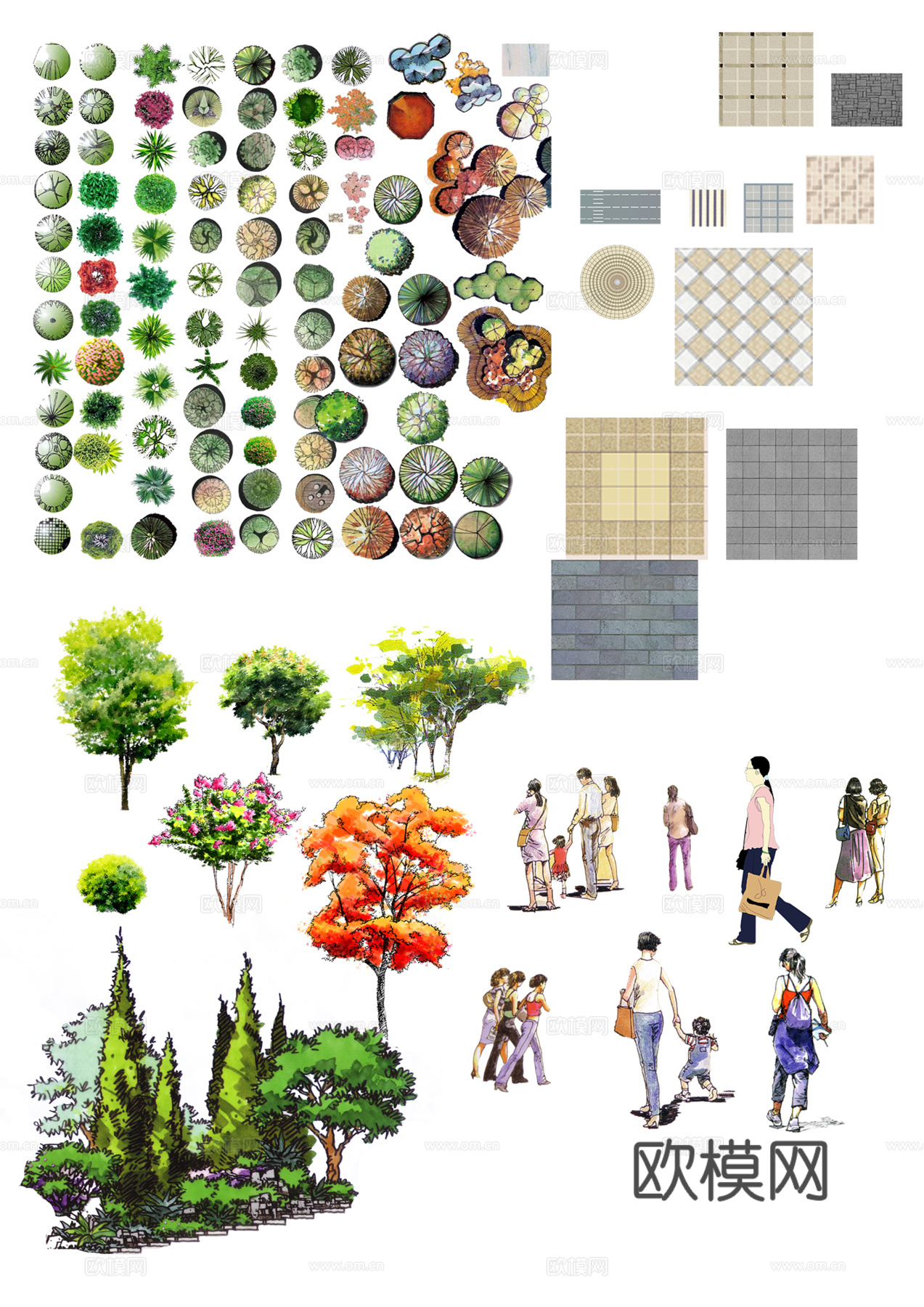 彩平植物免抠图