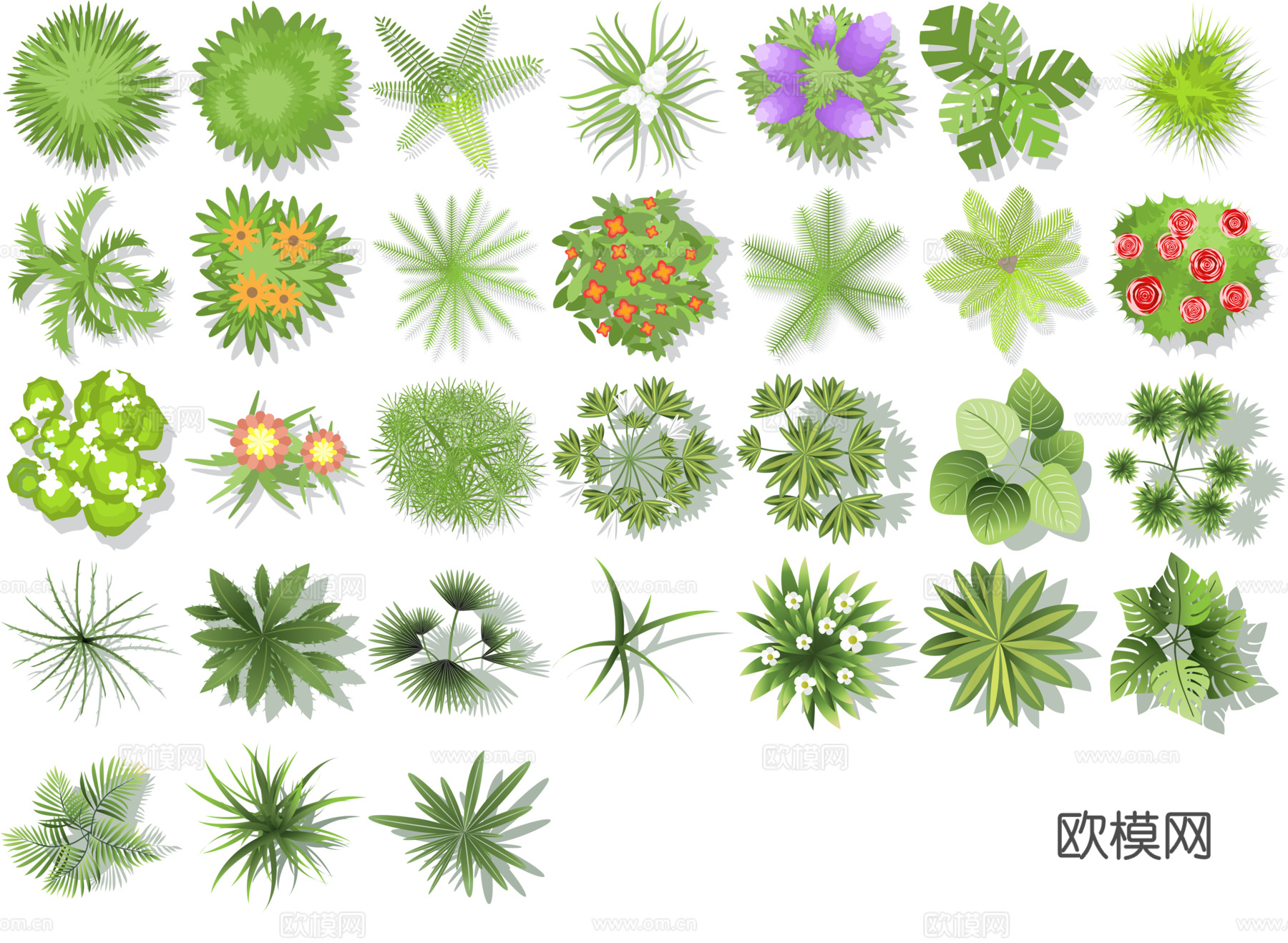 彩平植物免抠图
