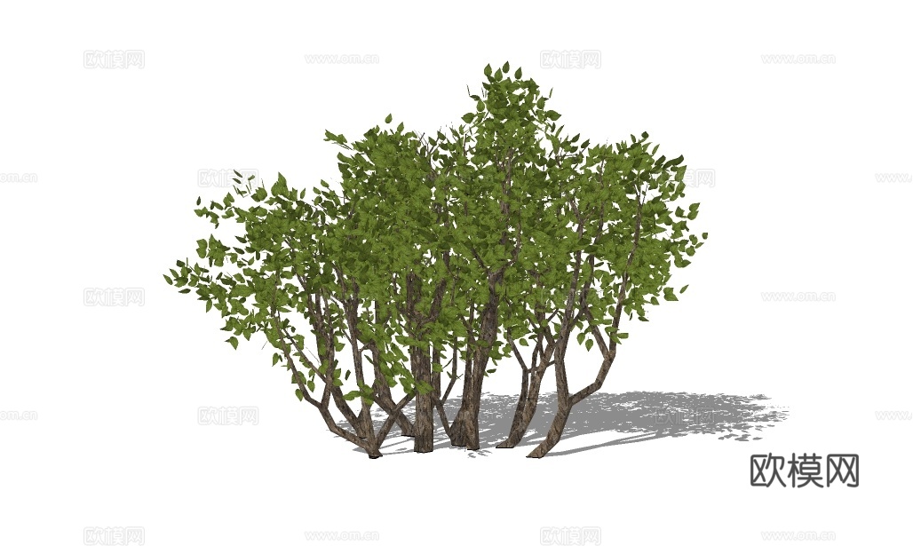 现代绿植灌木su模型下载