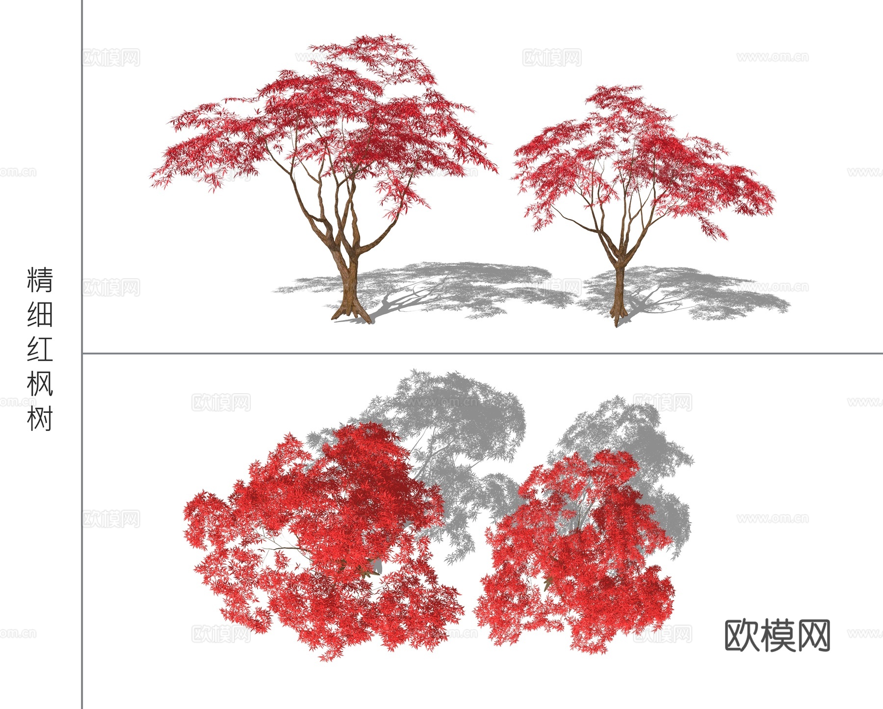 现代红枫景观树su模型下载