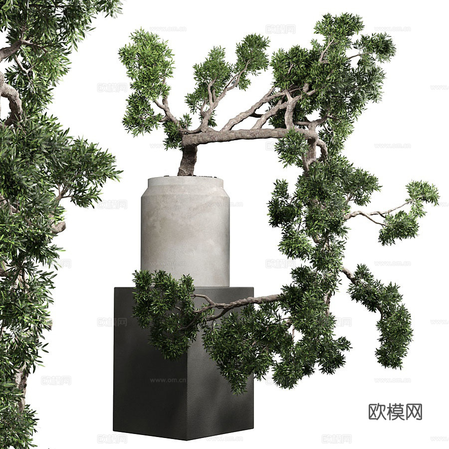 新中式盆景盆栽su模型下载