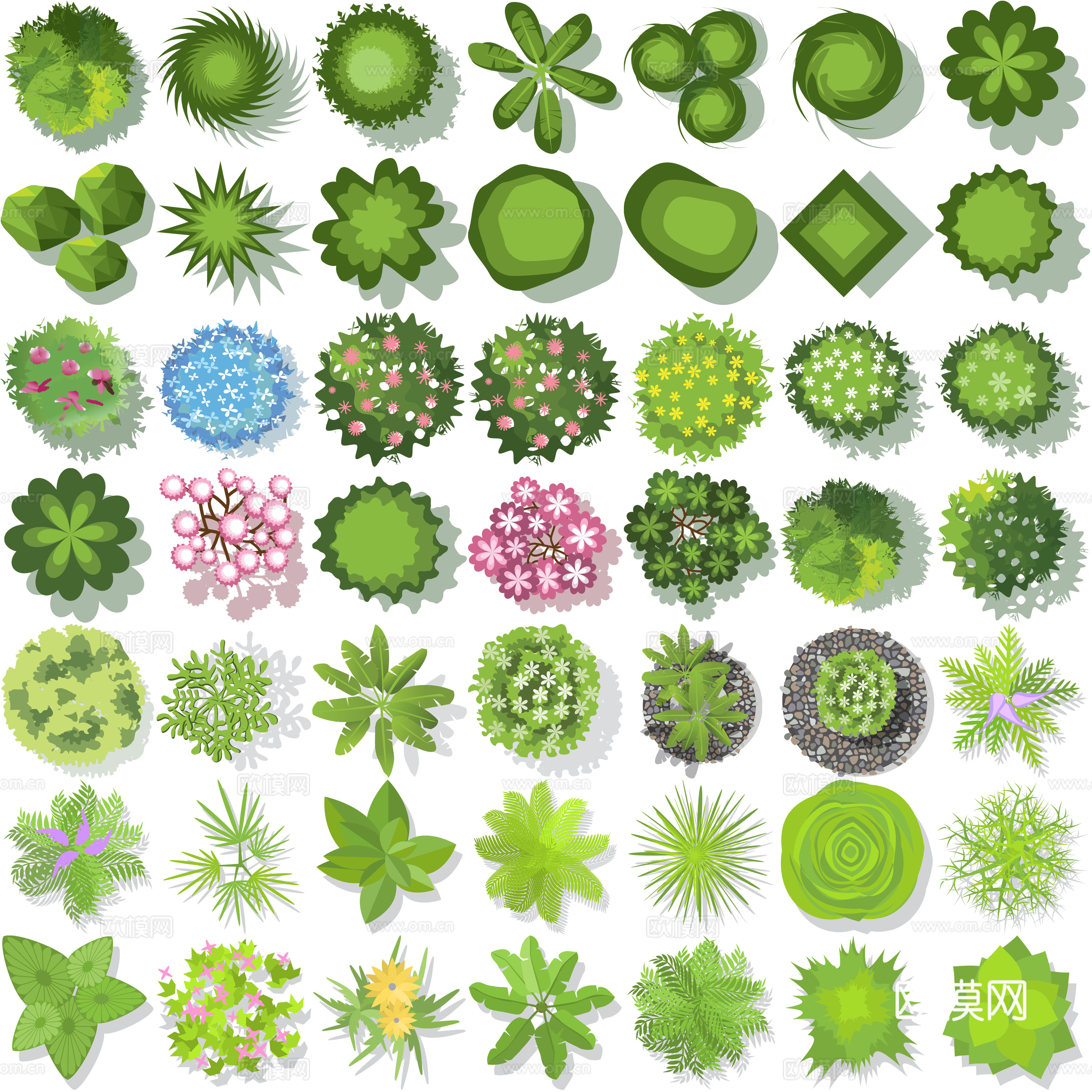 彩平植物免抠图下载