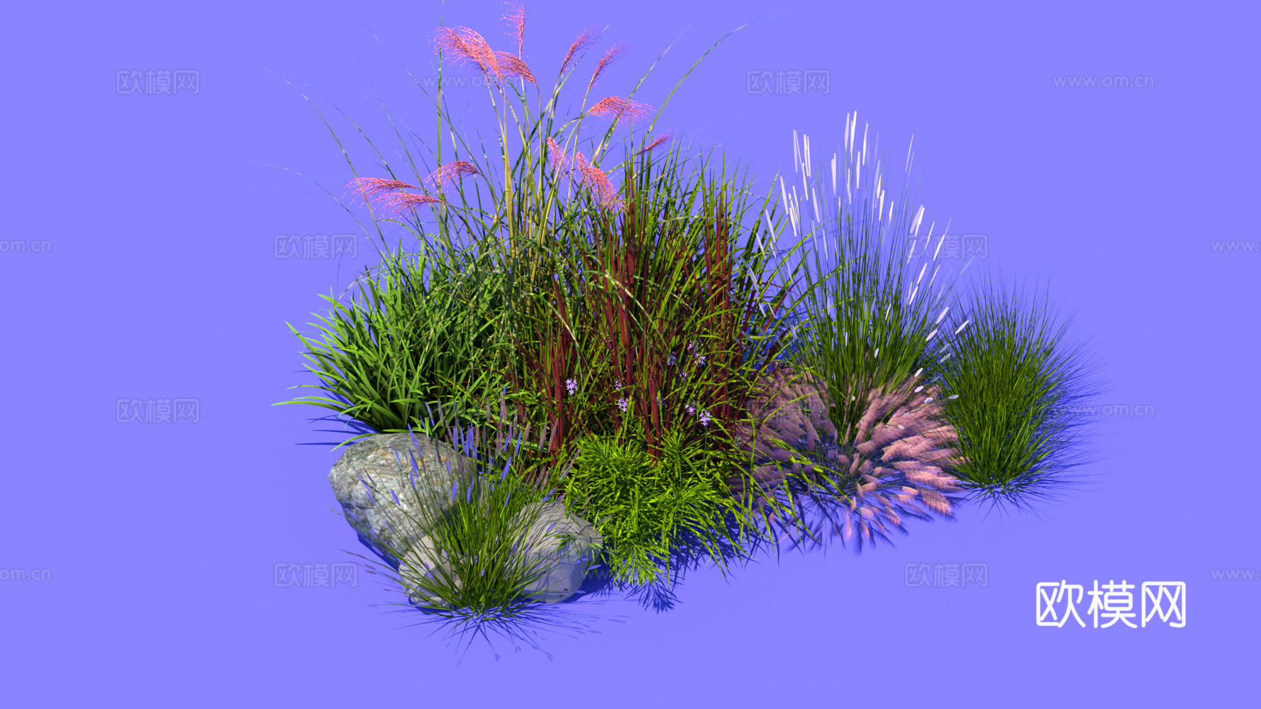 景观植物 花草灌木su模型下载