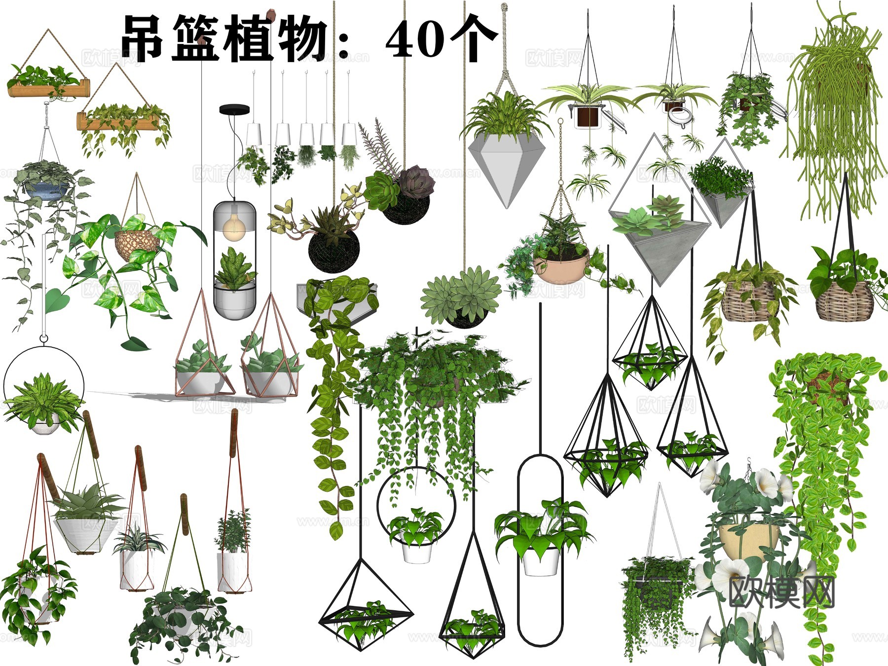 现代吊篮盆栽su模型下载