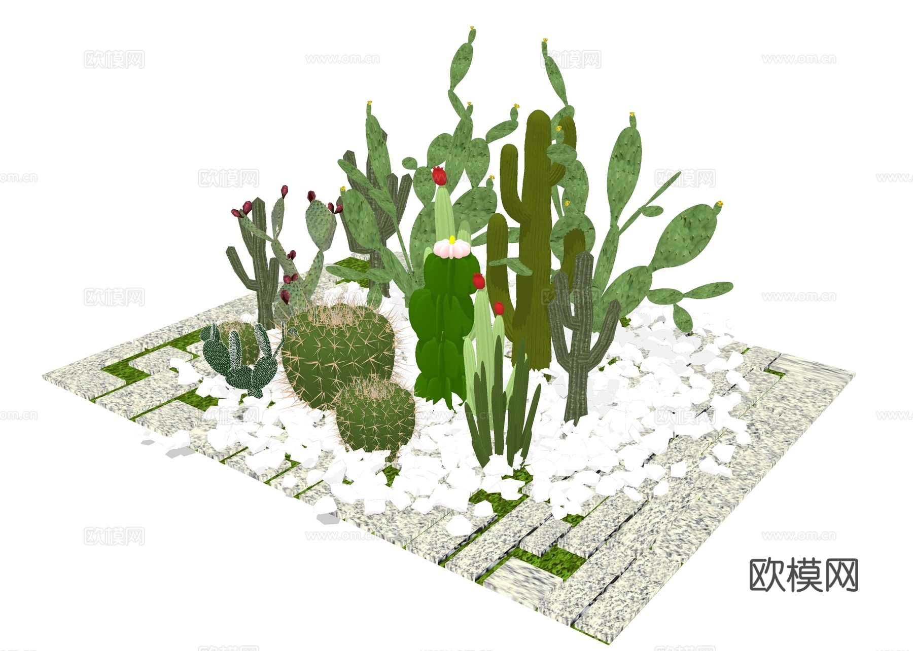 绿植仙人掌 户外景观su模型下载
