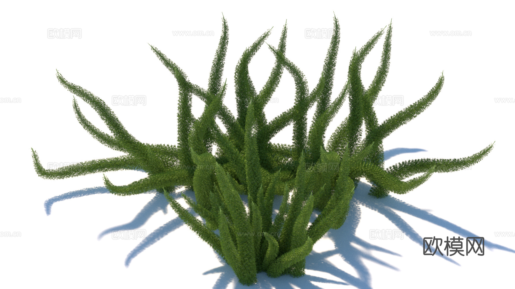 景观植物 花草灌木su模型下载