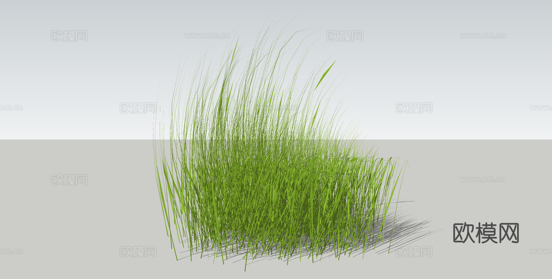 草 野草 杂草su模型下载