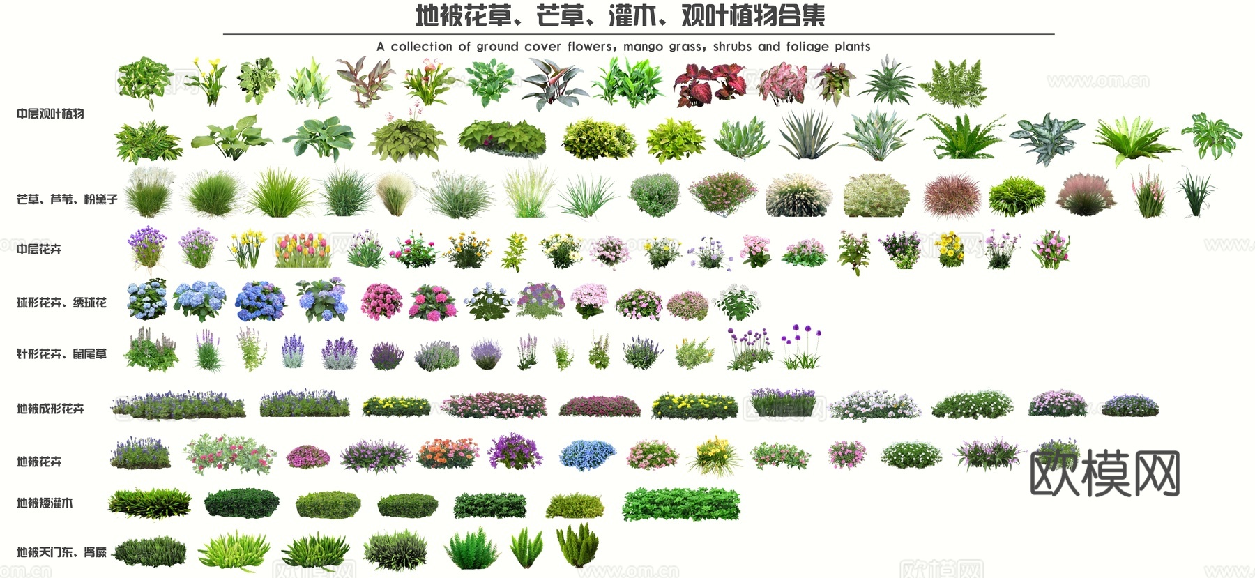 现代地被花草植物 灌木 球灌 观叶植物 花卉 花镜 绣球花 芒草茅草 水草su模型下载