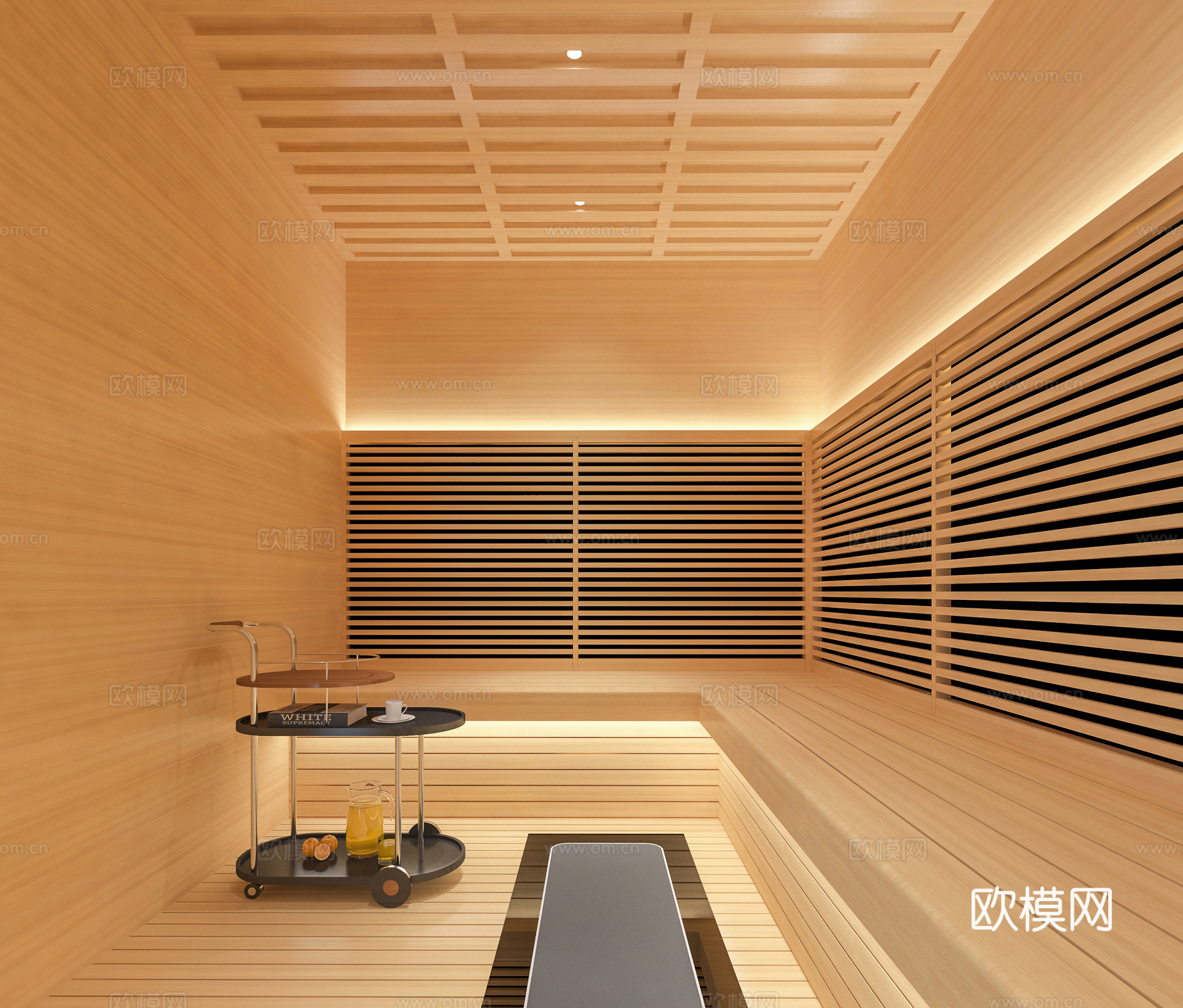 现代汗蒸房 桑拿房su模型下载下载（渲染图1）