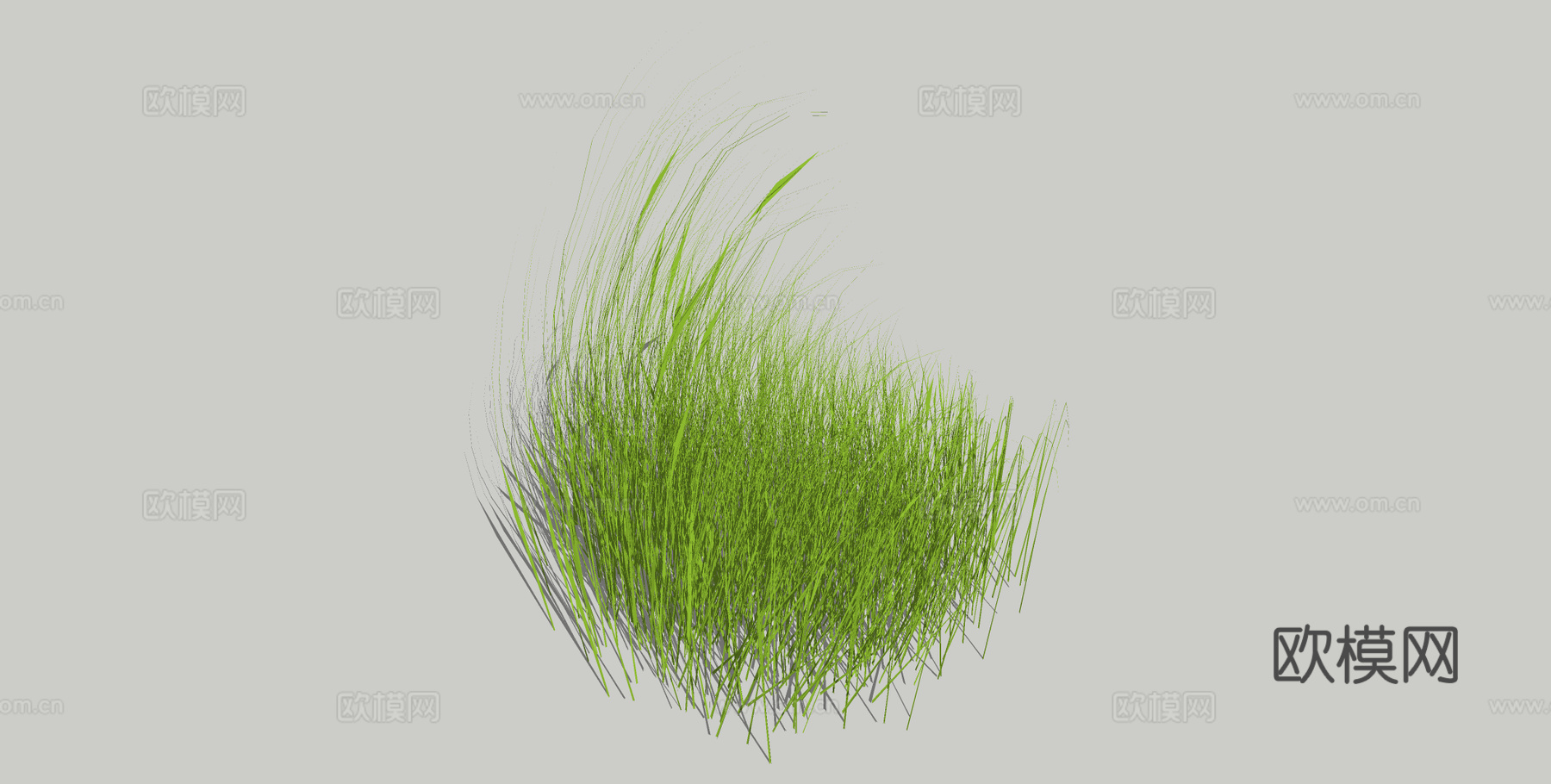 草 野草 杂草su模型下载