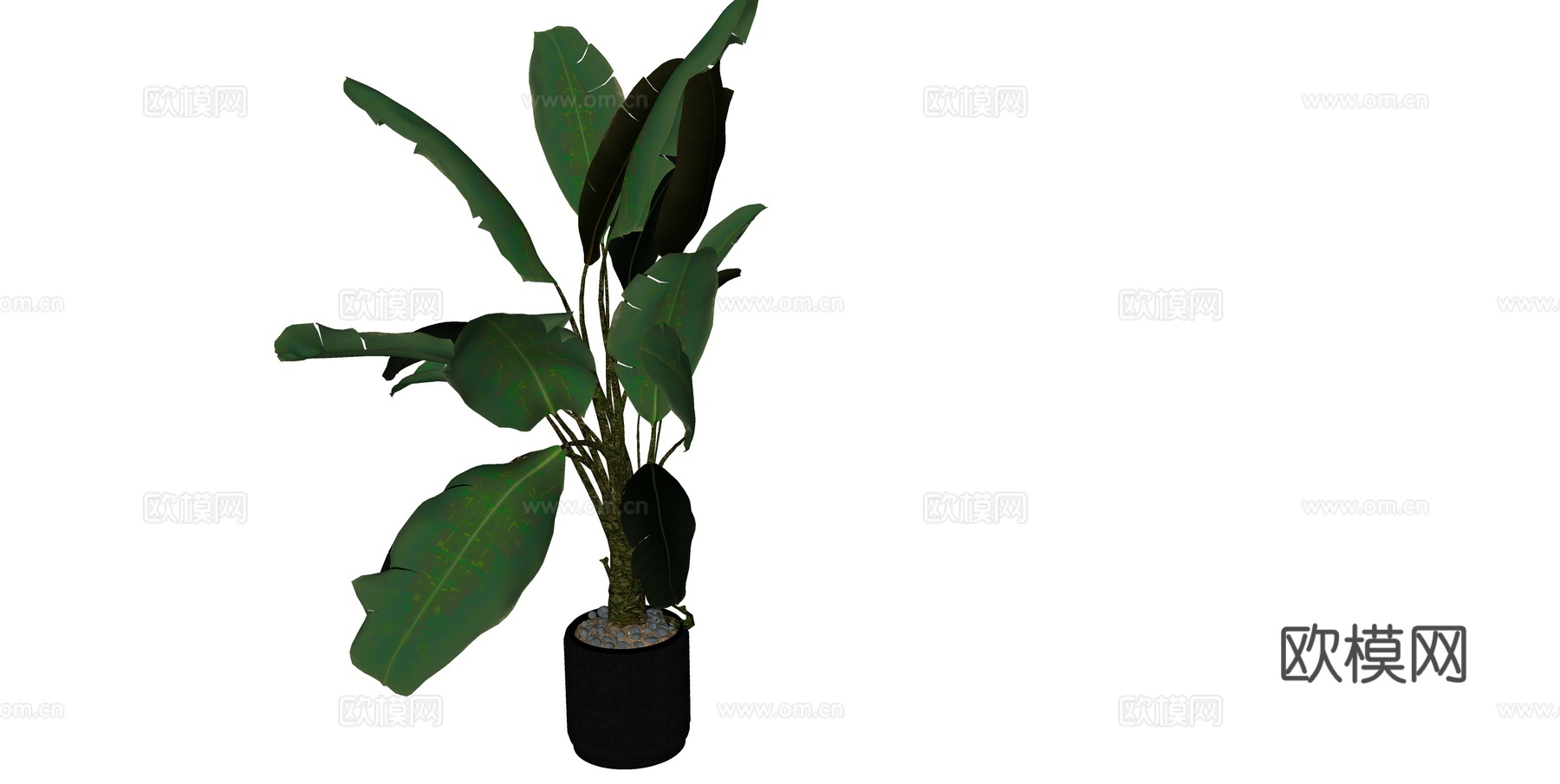 植物 盆栽 盆景 花卉su模型下载