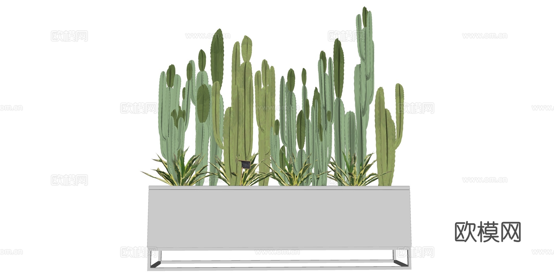 植物 盆栽 盆景 花卉 仙人掌 沙生植物su模型下载