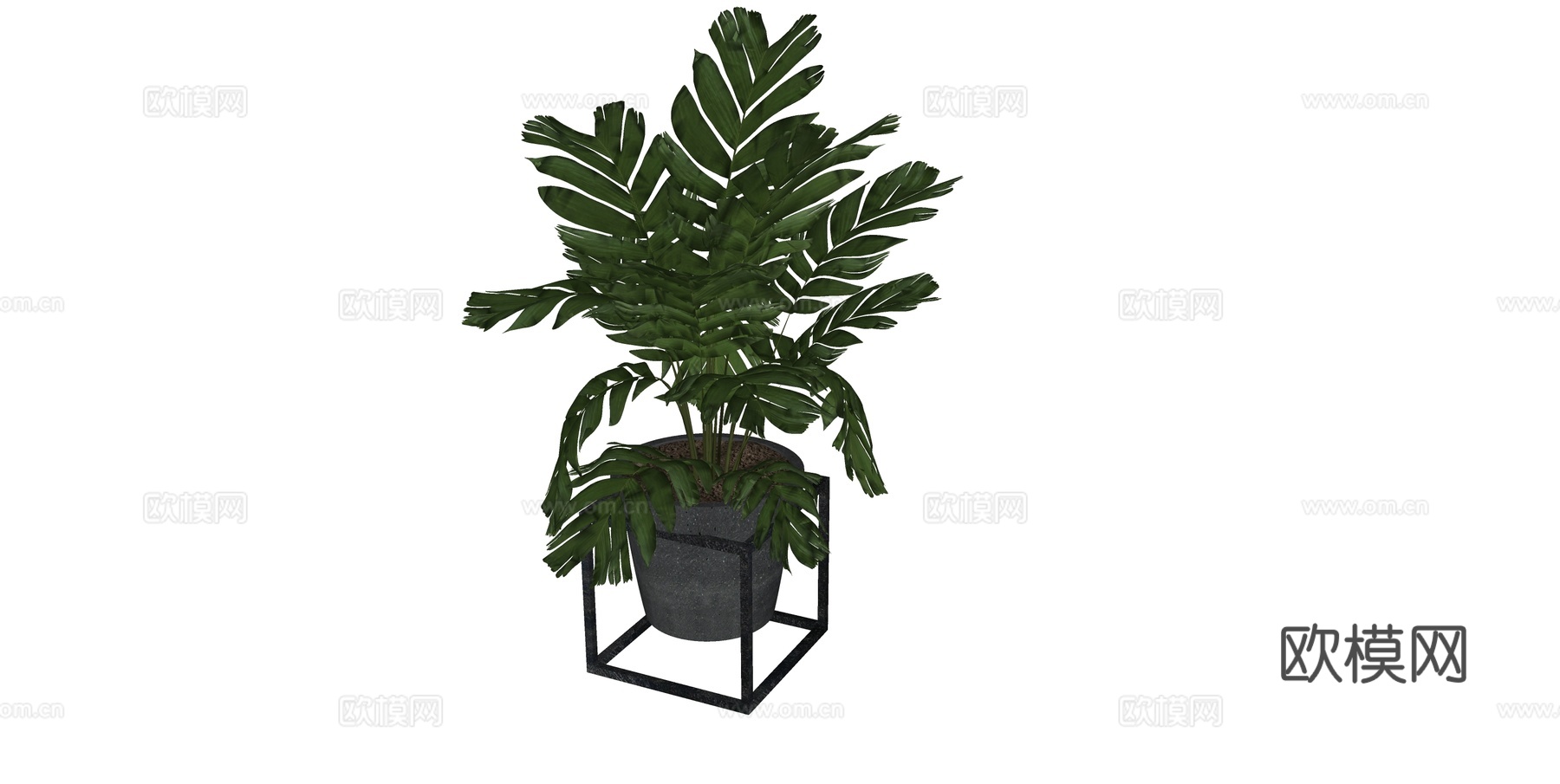 植物 盆栽 盆景 花卉su模型下载