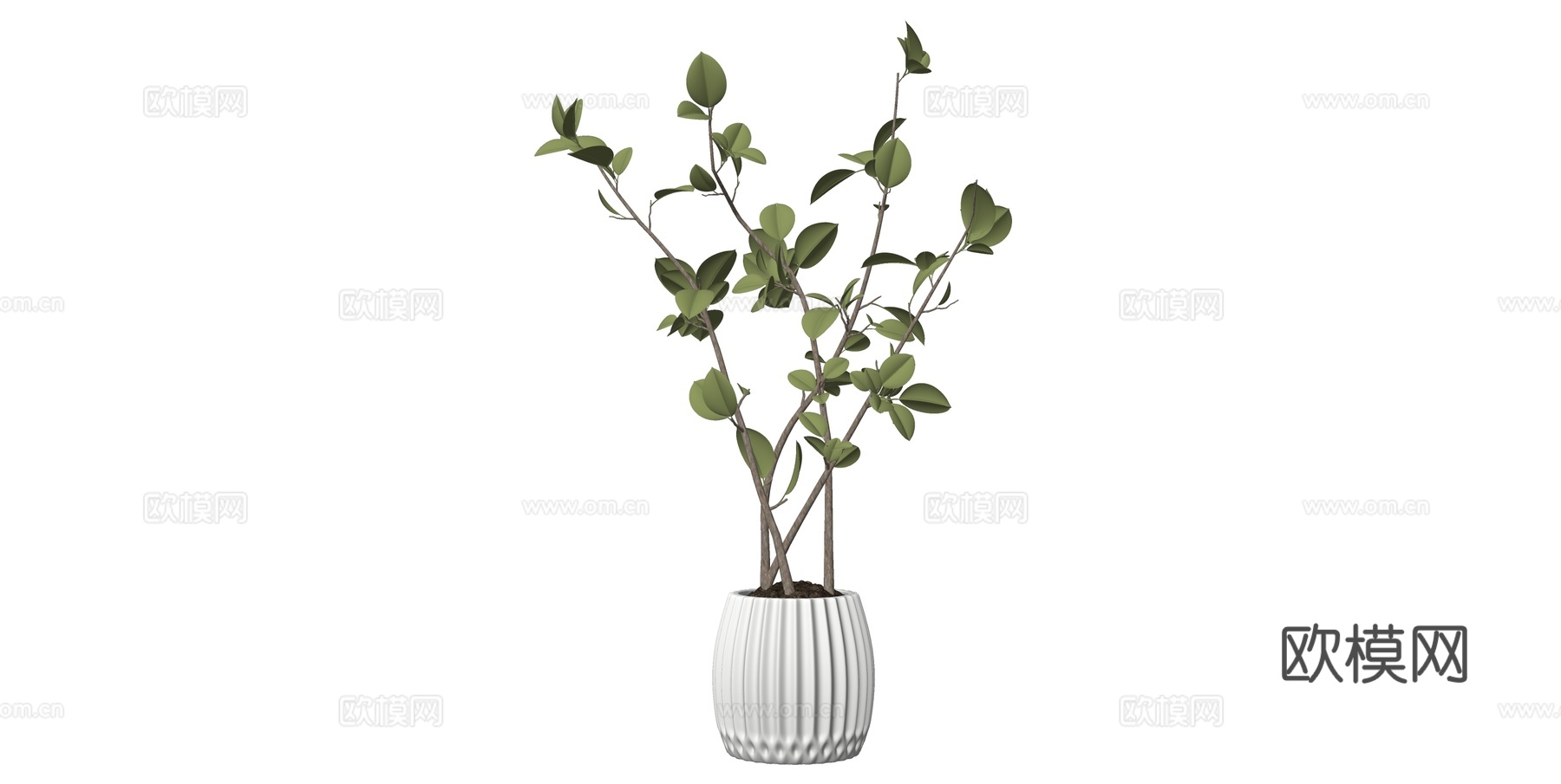 植物 盆栽 盆景 花卉su模型下载