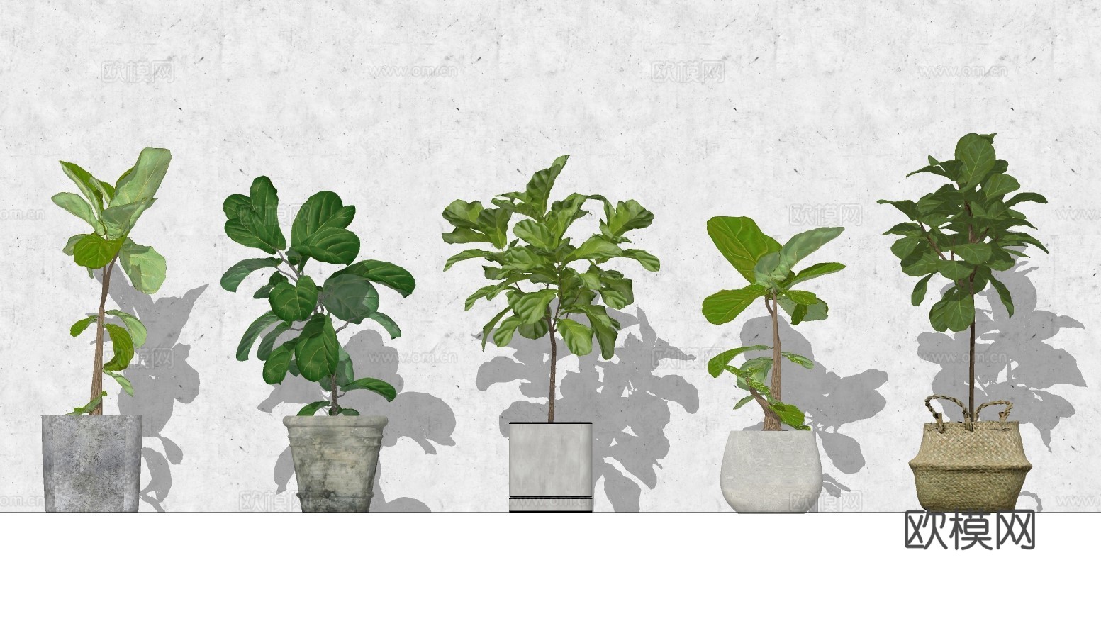 现代植物盆栽su模型下载