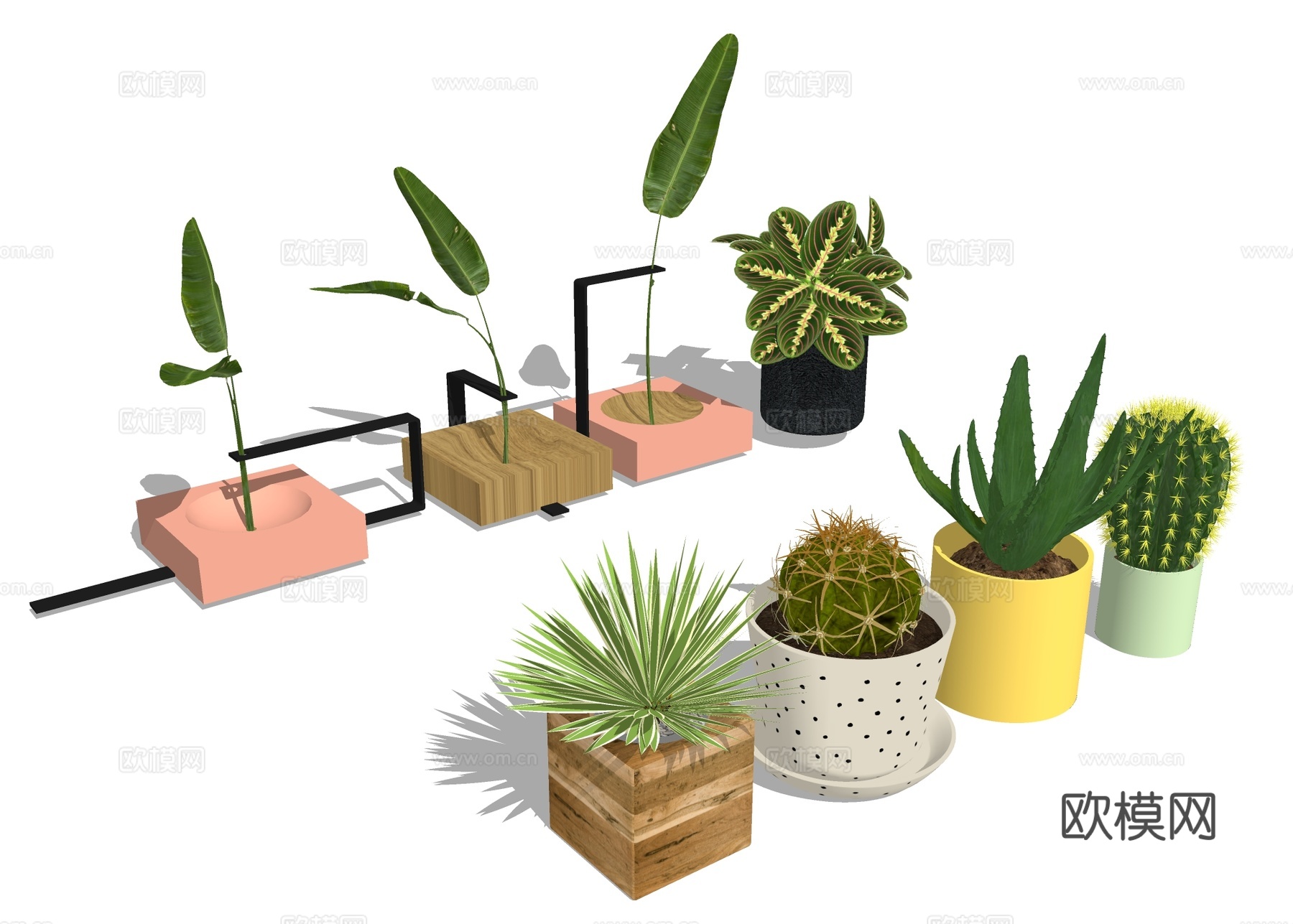 绿植小盆栽 桌面植物su模型下载