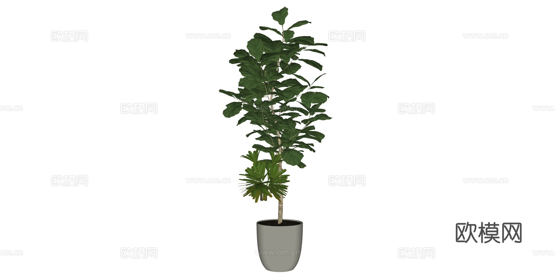 植物 盆栽 盆景 花卉su模型下载