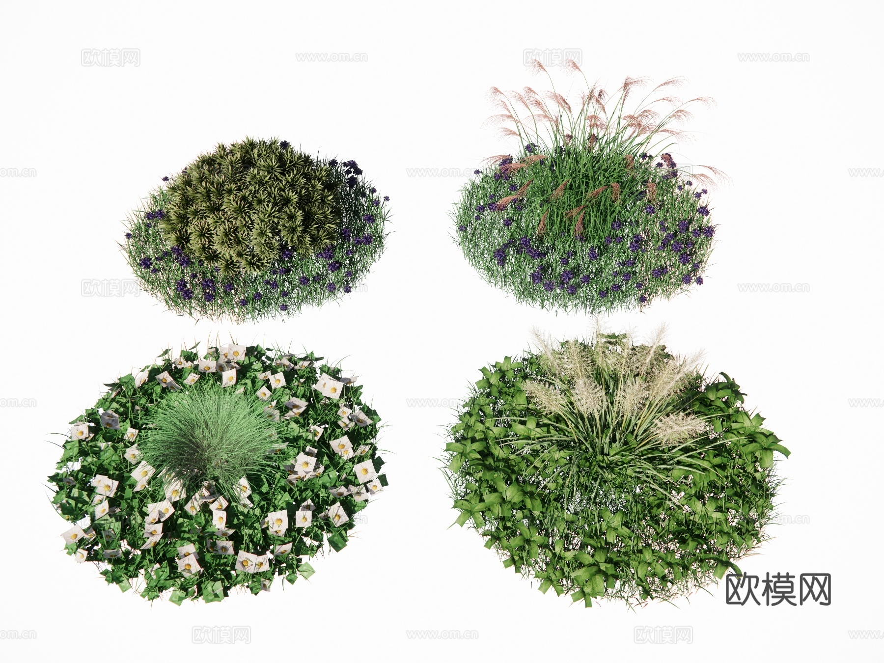 草坪 草皮 花草 地被 花卉 景观植物 鼠尾草 狼尾草su模型下载