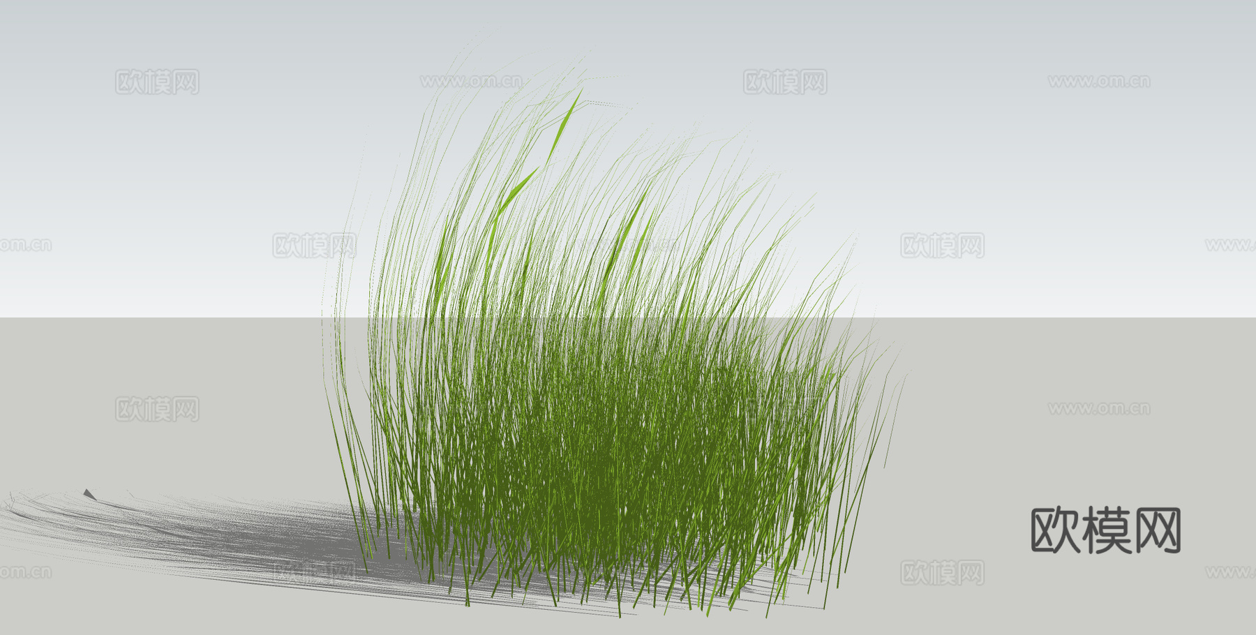 草 野草 杂草su模型下载