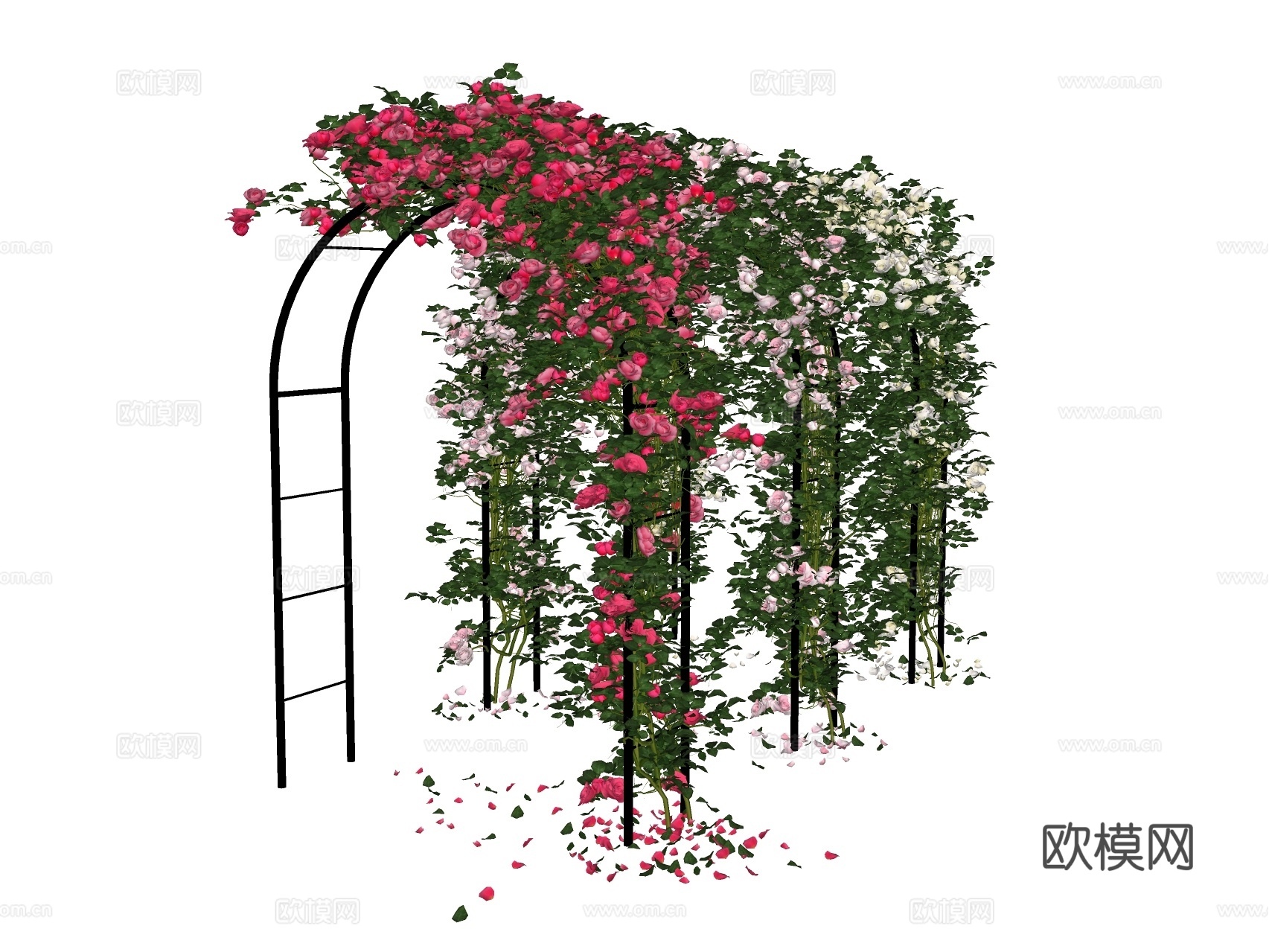 月季花 玫瑰花 蔷薇花架 藤蔓 爬藤su模型下载