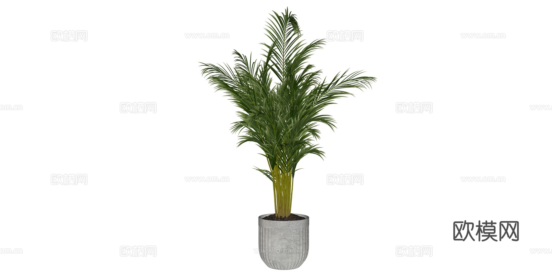 植物 盆栽 盆景 花卉su模型下载