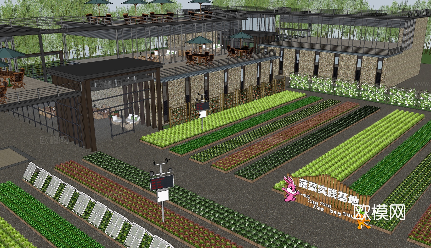 现代劳动教育基地 研学课堂 劳动实践场地 景观菜地 户外拓展su模型下载