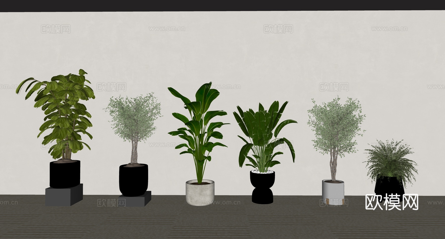 盆景绿植盆栽su模型下载