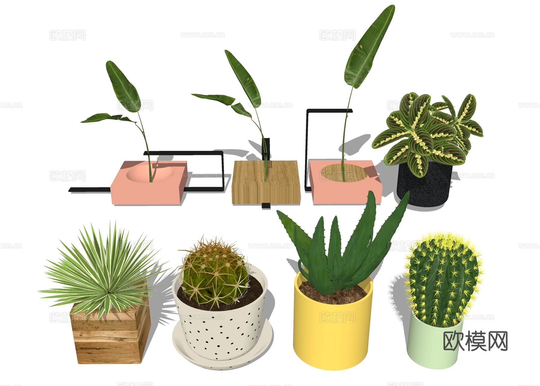 绿植小盆栽 桌面植物su模型下载