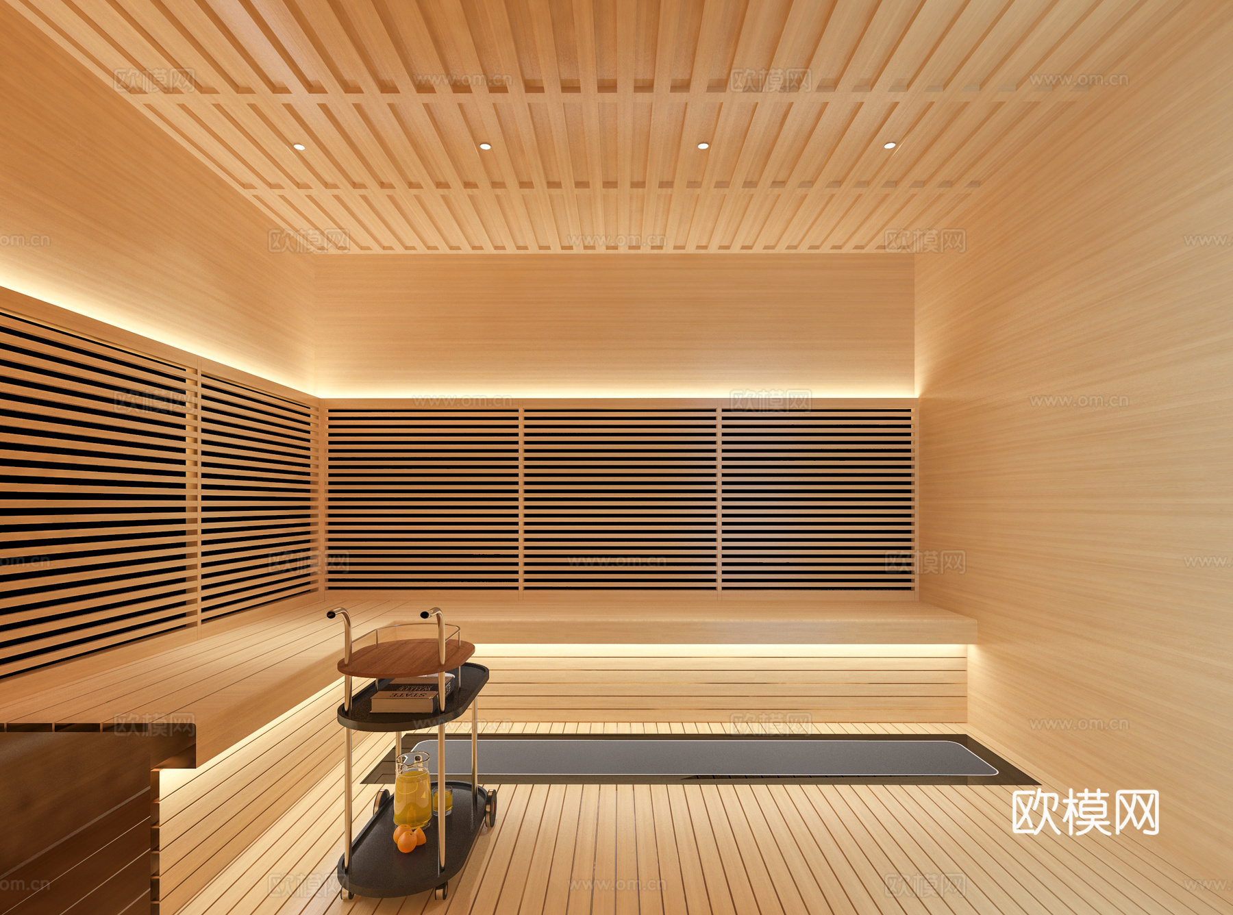 现代汗蒸房 桑拿房su模型下载下载（渲染图2）