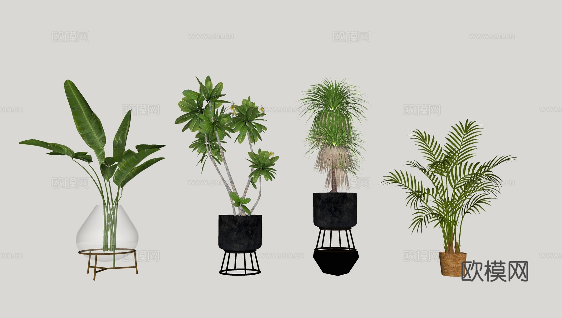 现代绿植盆栽su模型