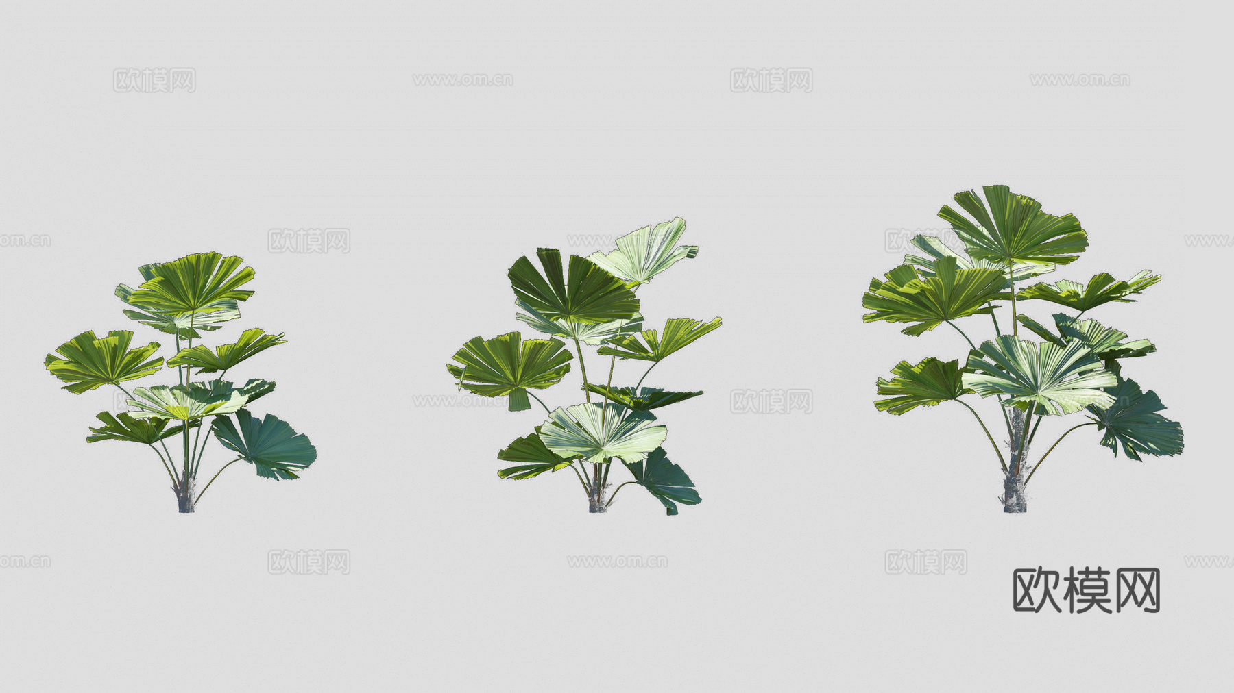 现代花草su下载模型