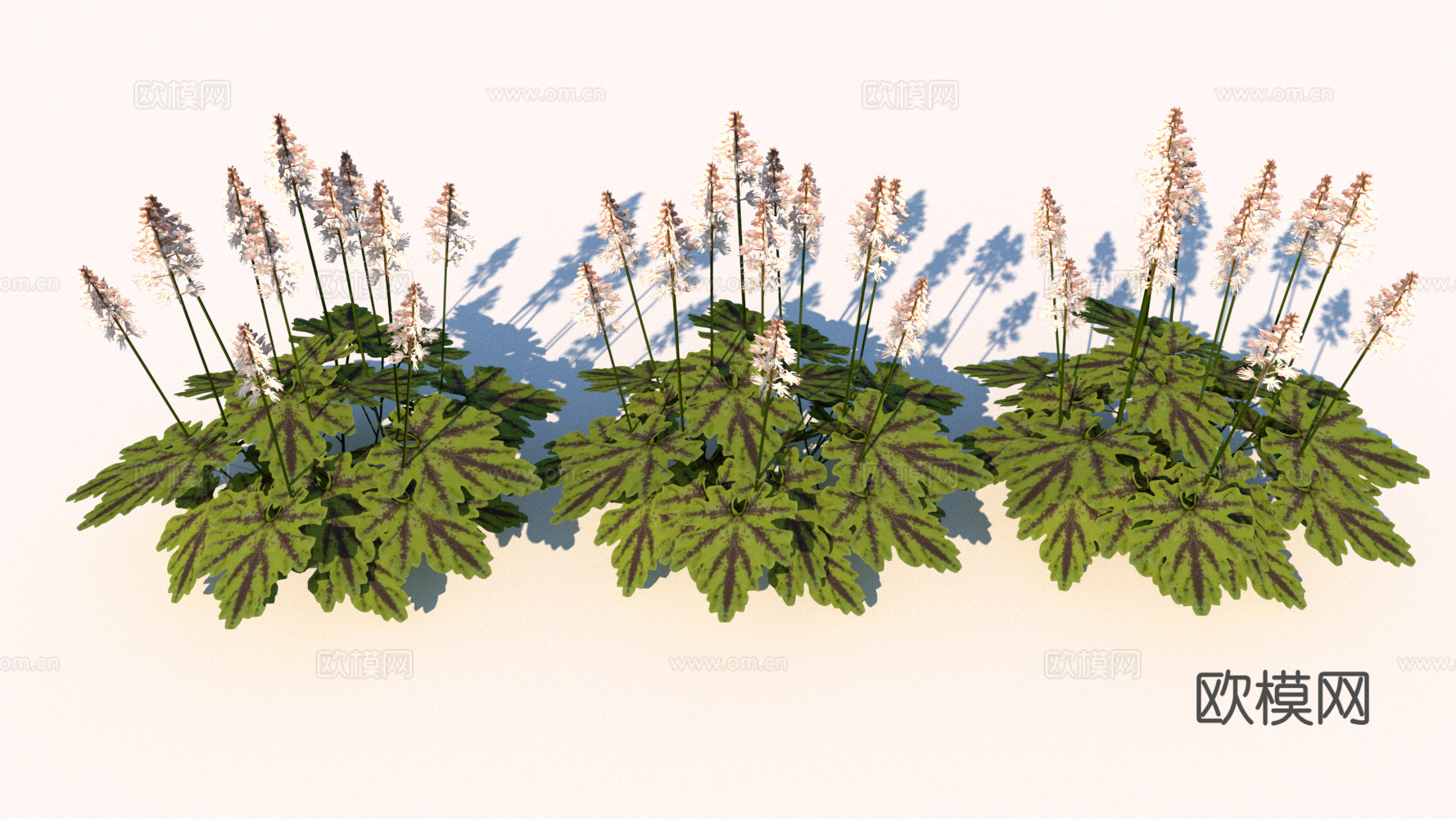 现代花草绿植su下载模型