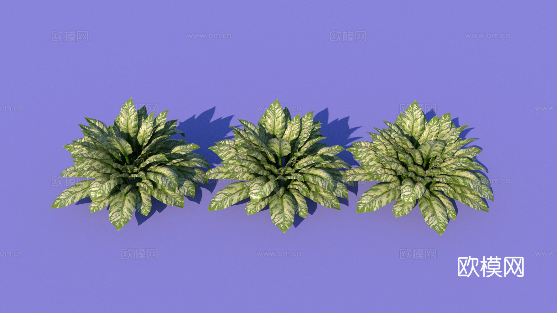 现代花草绿植su下载模型